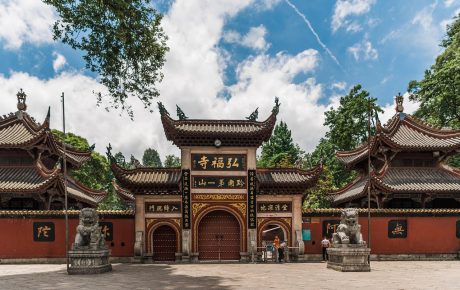 古装题材示意画面，宫殿屋檐与飘落的花瓣，色调沉静